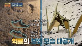 발자국 화석으로 확인한 4족 보행하는 '익룡'