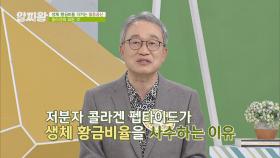 저분자 콜라겐이 '생체 황금비율'을 사수하는 이유