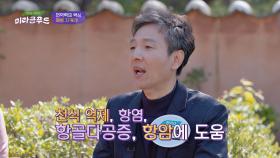 면역력의 핵심 '폐'를 건강하게 지켜주는 '맥문동'