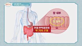 독소로부터 면역 파수꾼 '장 점막'을 지켜라!