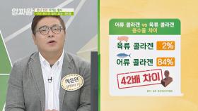 무려 42배 차이! 어류 콜라겐의 놀라운 흡수율