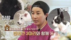 [최초 공개] 골프여제 박세리의 DOG 라이프 (ft. 떡 3인방)