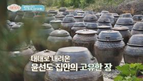 80년 전통을 이어온 고산 윤선도 집안의 장(醬) 대공개!