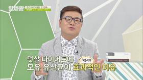 '모유 유산균 BNR17'이 갱년기 다이어트에 효과적인 이유