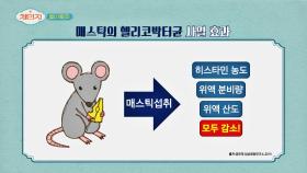 위 질환의 원인 헬리코박터균 박멸의 마스터키 매스틱