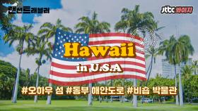 ️하와이-️ ALOHA! 지상 최고의 낙원, 꿈의 여행지 하와이로 가요