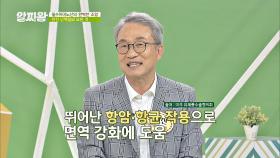 '완전 단백질' 또 다른 효능☞면역 강화에 도움