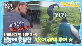 [내친집][캐나다 편 EP.3-5] 본능에 충실한 기욤이 퀘백 투어★ (The Homecoming)