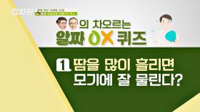 [OX 퀴즈] 땀을 많이 흘리면 모기에 잘 물린다?