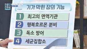 '장'은 '면역력'의 균형⚖️을 맞추는 컨트롤 타워