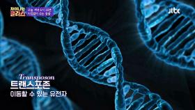 [선공개] 움직이는 DNA '점핑유전자'를 활용한 유전자 변형 기술 「트랜스포존」