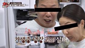 ((기생충 2탄🐜)) 유통기한 지난 제품들 널려있는 지혜-준형의 냉장고 | JTBC 200906 방송