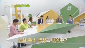 [회춘 프로젝트] 전신 노화를 부르는 '노화 독소'가 쌓이는 원인! | JTBC 201008 방송