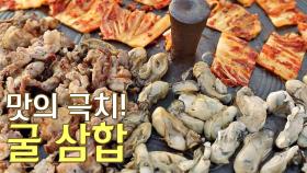 맛의 大잔치! 보기만 해도 군침이 싹 도는 '굴 삼합'😋 | JTBC 201021 방송