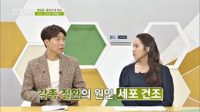 노화와 심장 질환의 원인⚡️ '세포 건조'를 막아라! | JTBC 201022 방송