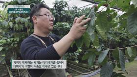 커피콩 수확부터 관리하는 방법 (ft. 자연 순환의 농법) | JTBC 201220 방송