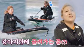 전동 서핑 중 강아지한테 끌려가는(?) 듯한 박나래 ㅋㅋ | JTBC 201204 방송