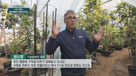 다양한 아열대 나무🌴 온도 조절하는 방법 | JTBC 201220 방송