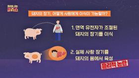 돼지🐷의 장기를 사람에게 어떻게 이식이 가능할까? (ft. 동물복제) | JTBC 201123 방송