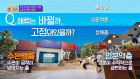 바다의 길이 생기는 이유 👉🏻 열 염분 순환의 '수온약층'과 '염분약층' | JTBC 201116 방송