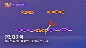 정확하고 안전한 유전자 변형기술을 이용한 '크리스퍼 유전자 가위✂️' | JTBC 201123 방송