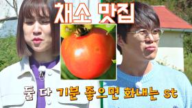 [채소 맛집] 박하선-성시경 진실의 미간 보여주는 방울토마토🍅 | JTBC 201021 방송