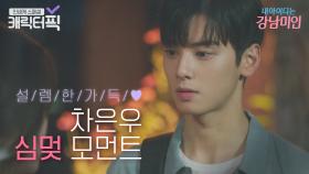 ✨얼굴천재 인간 조각상✨ 차은우의 심멎 모먼트 | 내 아이디는 강남미인｜JTBC 180907 방송 외