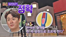 [생리학의 발전] '윌리엄 하비'가 밝혀낸 판막의 기능...!｜JTBC 210114 방송