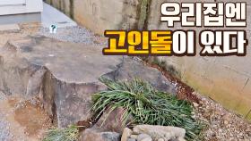 우리 집엔 '고인돌'이 있다? 돌멩이마저 범상치 않은 종갓집 클라쓰😲 | JTBC 210127 방송
