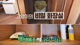 (수납장+화장실) 고양이를 위한 일석이조의 공간 활용🐈 | JTBC 210203 방송