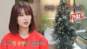 집 중앙에 위치한 미니 중정 속 예뻐 보이는 나무🌲가 가짜?! | JTBC 210203 방송