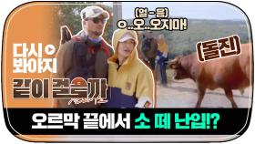 🐮태우와 호영에게 돌진하는 흙소에 ddong 밟은줄도 모르는 계상💩｜JTBC 181101 방송