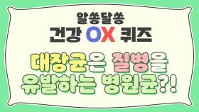 [OX 퀴즈] 대장균은 질병을 유발하는 병원균이다?! ☞ | JTBC 200926 방송