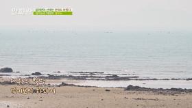 언택트 여행지 추천✔️ 천혜의 자연 경관을 자랑하는 「대부도」 | JTBC 210401 방송