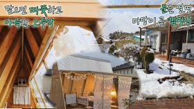 추천👍 캠핑을 좋아하는 부부에게 안성맞춤인 오두막 아지트🤠 | JTBC 210331 방송