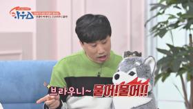 ＂브라우니 물어!＂ 끼쟁이😆 정태호의 유행어 퍼레이드 ☞ | JTBC 210410 방송
