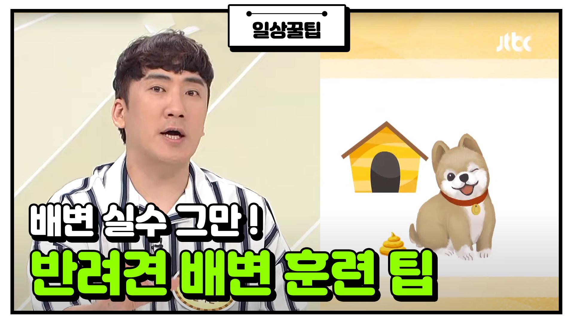 반려견 배변 훈련 알짜팁