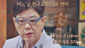 암 투병 시절, 양희은의 ＜하얀 목련＞♪ 작사에 영감을 준 친구의 편지✉️ | JTBC 210416 방송
