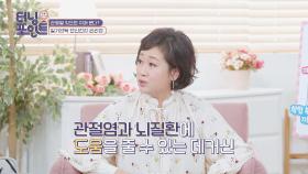 관절염과 치매 한 번에 관리할 수 있는 '데커신' | JTBC 210423 방송