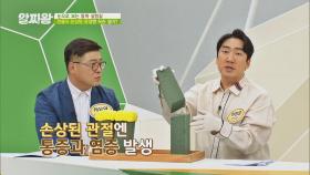 손상 시 관절까지 위험한 몸속 완충재 '연골' | JTBC 210429 방송