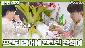 ＂안녕 새 식구들~＂ 반려 식물 FLEX! 프랜테리어에 찐텐인 찬혁이｜JTBC 210503 방송 외
