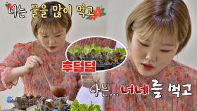 (먹어야 하니까) 잘 자라렴♥ 달콤살벌 수현의 화분 만들기^ㅠ^ | JTBC 210503 방송