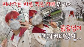 비 오는 날☔ 벚꽃놀이 간 재재🌸 (지나가는 차와 함께.jpg) | JTBC 210510 방송