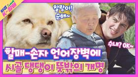 첫 만남부터 심상치 않은 언어장벽🤦 급기야 개명 당한(?) 시골 강아지 | JTBC 210525 방송