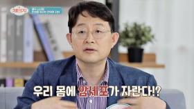 하루 '최대 오천 개'까지 우리 몸에서 만들어지는 ㄴ암세포ㄱ | JTBC 210526 방송