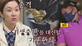 데자뷔..? 기생충 방이 생각나는 박준형의 '기생충 차'😱 | JTBC 210530 방송