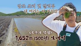 〈오늘의 작업〉 모발 이식 전 두피처럼 광활한 500평 모내기🌾 (ft. 수드래곤ㅋㅋㅋ) | JTBC 210613 방송
