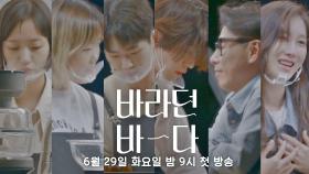 [WISH 티저] 우리가 바라던 그들 '바라던 바다' (나레이션 - 윤종신) 6/29(화) 밤 9시 첫 방송!