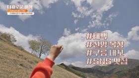 풍경bb 태백 고원에서 즐기는 힐링 산양 목장🙆‍♀️ | JTBC 210531 방송