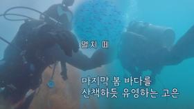 포항만의 뇌록색 바다..💙 고은의 매력적인 바다 탐험 | JTBC 210629 방송